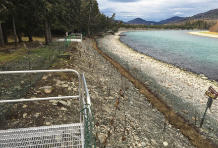 Kenai River Bank Protection & Stabilization Project